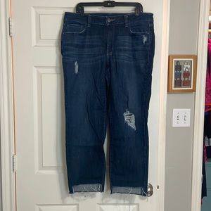 Lane Bryant Denim Distressed Dark Wash Straight Leg 18